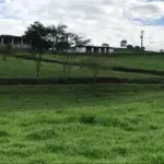FAZENDA - NOSSA SENHORA DE LOURDES , ITAQUITINGA