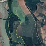 TERRENO RURAL COM 31.91.50 HECTARES - ALCEU CAIXETA