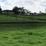 FAZENDA CRUZEIROS , UBERLANDIA COM AREA TOTAL DE 133,4239HA