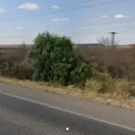 LOTE 0203 - Uma gleba de terras em área remanescente localizada no Sitio Batinga, Fazenda Santa Cruz, em Araripina/PE, com área de 239.546,21m2 e benfeitorias: cerca, cisterna, casa com 180m², e etc.