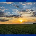 LOTE 0013 - FAZENDA - BOA ESPERANÇA, LOCALIZADA EM VICÊNCIA/PE. ÁREA TOTAL DE 37 HECTARES E 95% DA ÁREA COM PLANTAÇÃO DE CANA DE AÇÚCAR, UMA PARTE PLANA E GRANDE PARTE MONTANHOSA