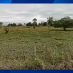 LOTE 03051 - FAZENDA - Fazenda com área de 171.215 m², localizada no município de Guidoval/MG (PARCELAMENTO EM ATÉ 60 MESES)