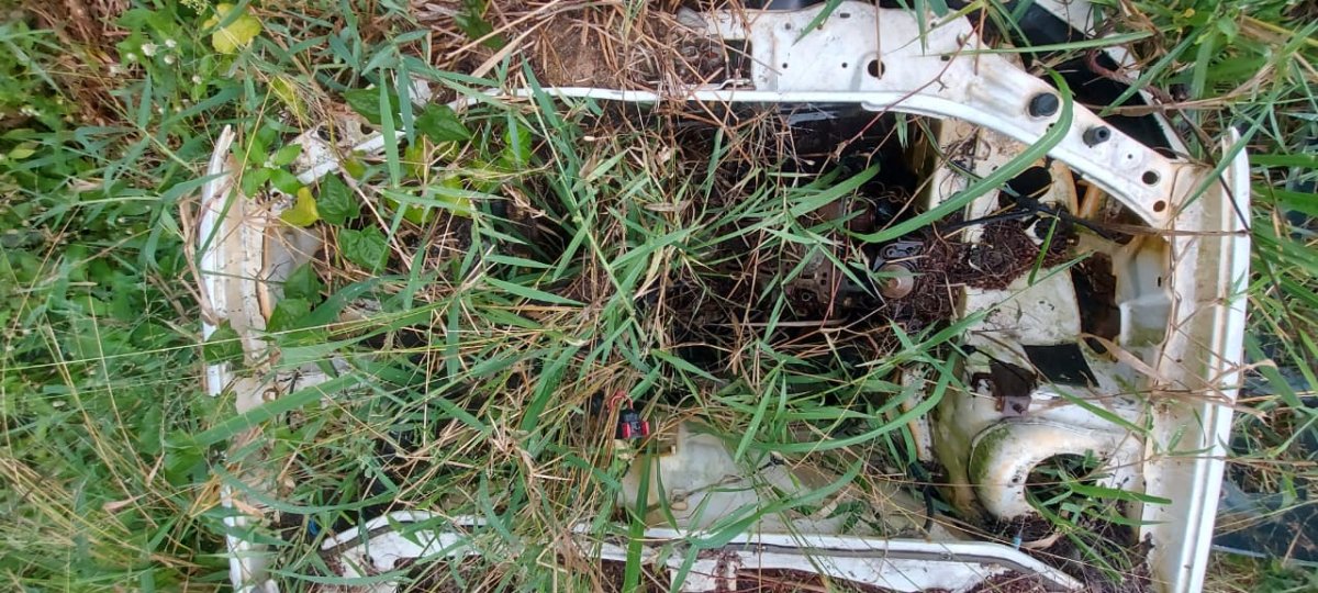Foto 6