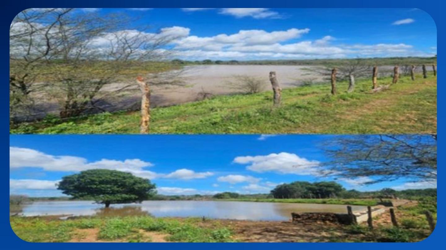 SÍTIO - Sítio Maracajá (Maracajá e Santana), às margens da BR-412, São João do Cariri/PB, Área de 400 hectares